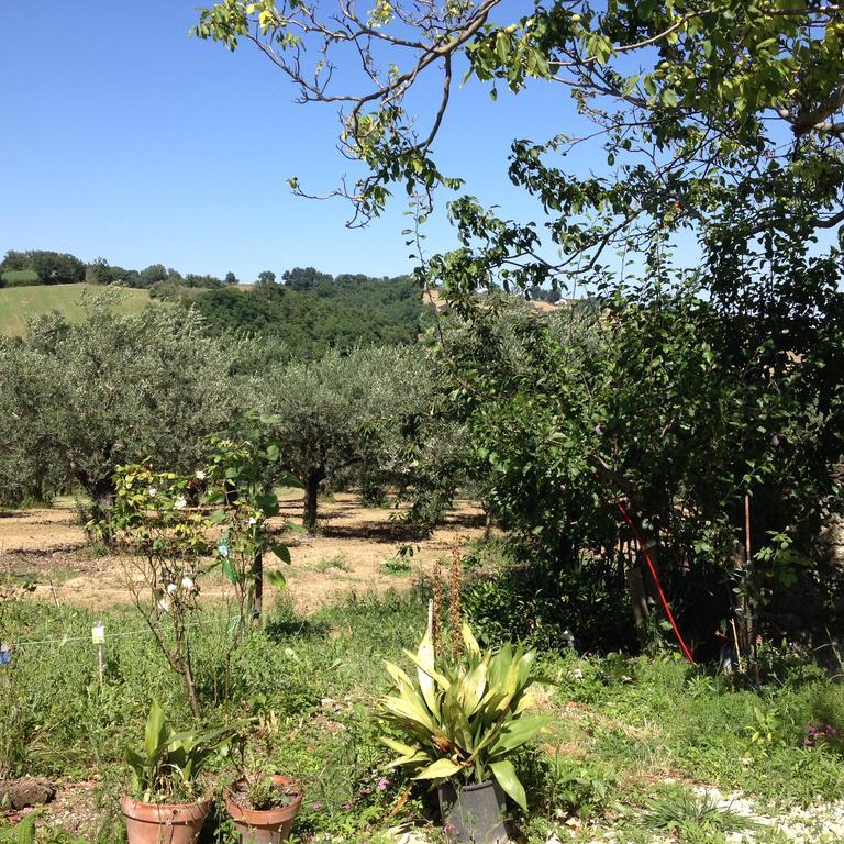 Vila Masseria Spadone Civitella Casanova Exteriér fotografie