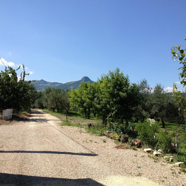 Vila Masseria Spadone Civitella Casanova Exteriér fotografie